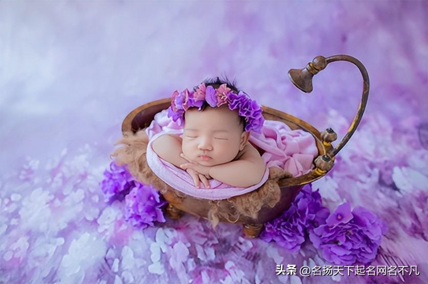 属猪的男宝小名 乳名萌一点寓意好的-腊月生的儿子可以起个什么小名