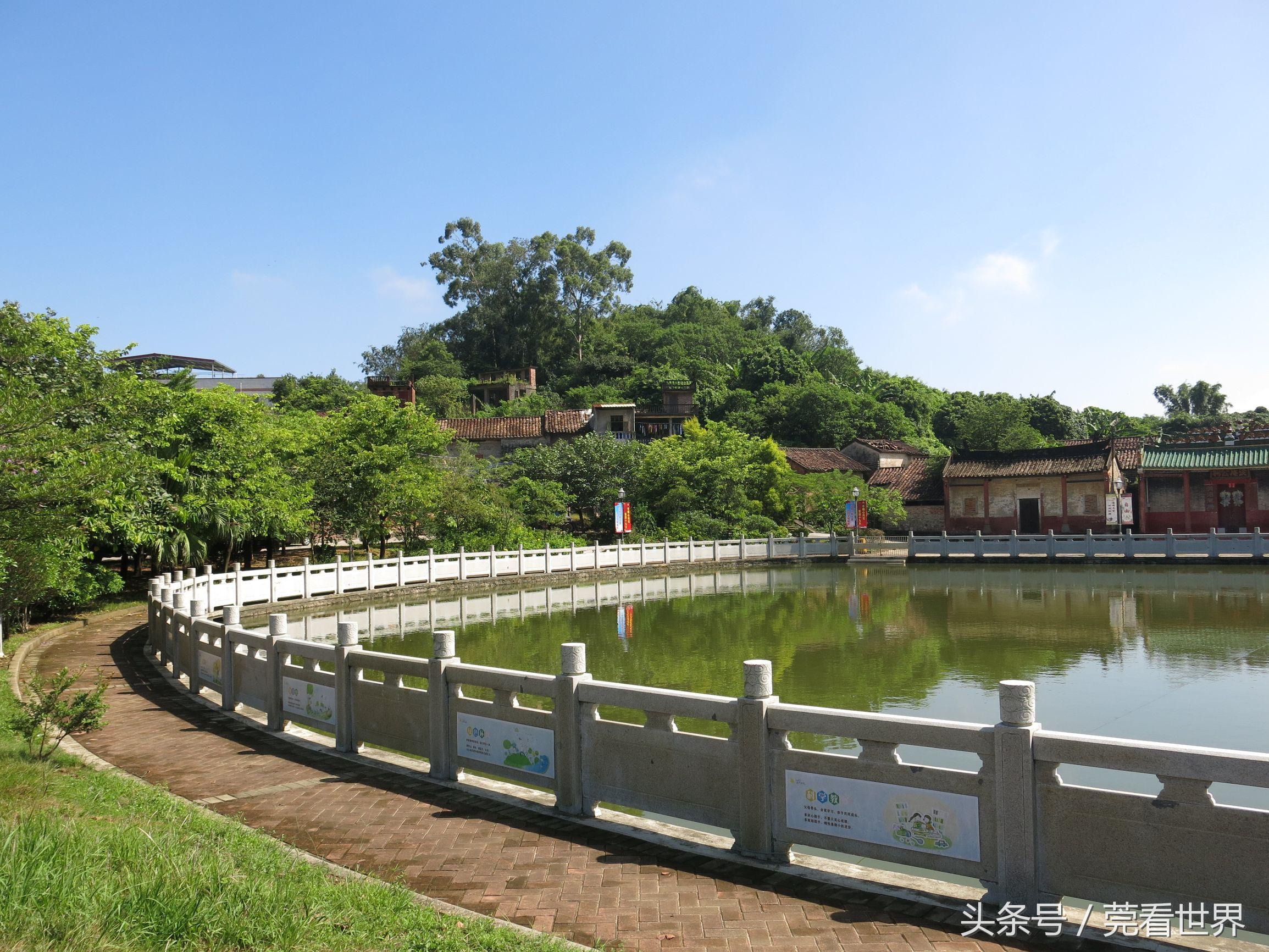 农村居住环境建设的指导与风水-农村住宅里时常有蛇好不好