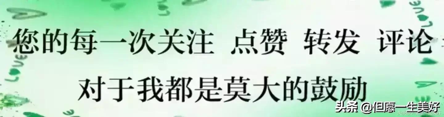 算命咒语口诀-九阳真经里很装逼的口诀