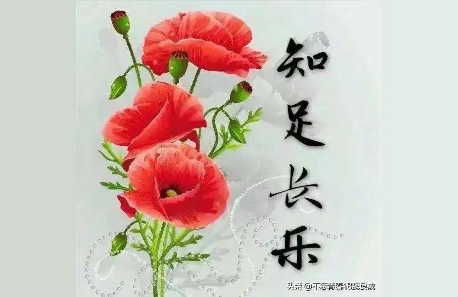 秤骨算命女武则天称骨多少斤