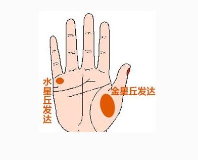 女人手纹看相算命图解-我们经常会在古装电视剧里看到按手印的剧情