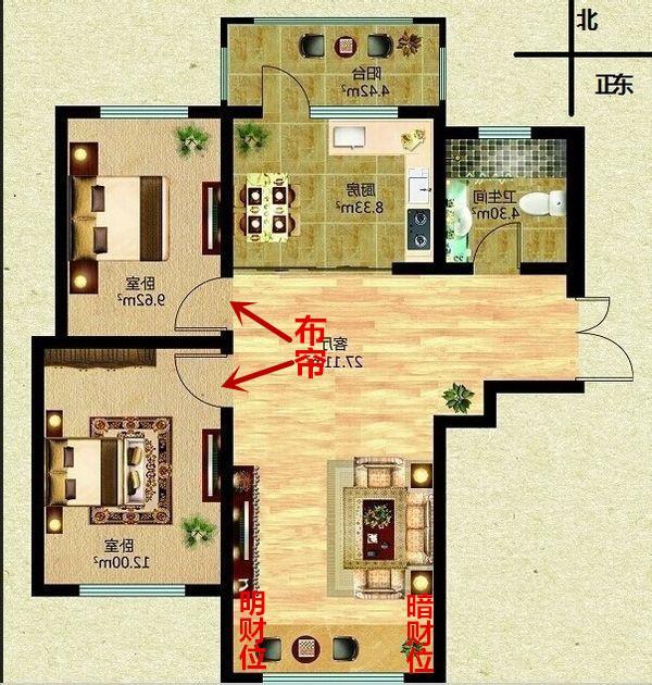 坐南朝北的店铺财位在哪方-发财树放店里哪位置好
