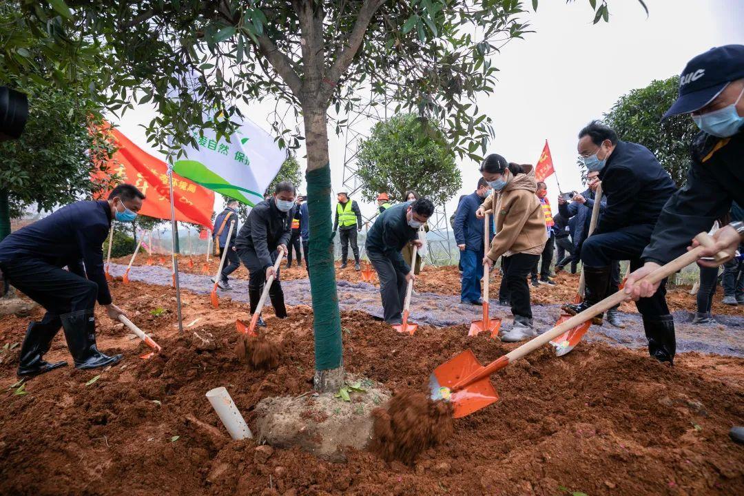 2022年办公室風水布局 办公桌绿植推荐-2022年立春是早还是晚