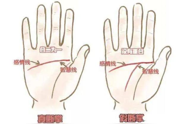 男儿断掌千斤两什么意思一手托千斤是什么意思