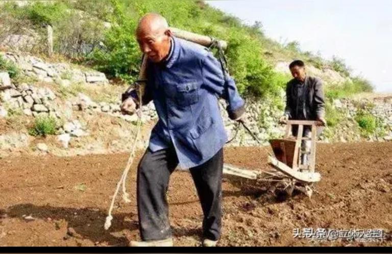 算命带阳刃算命经常用的话