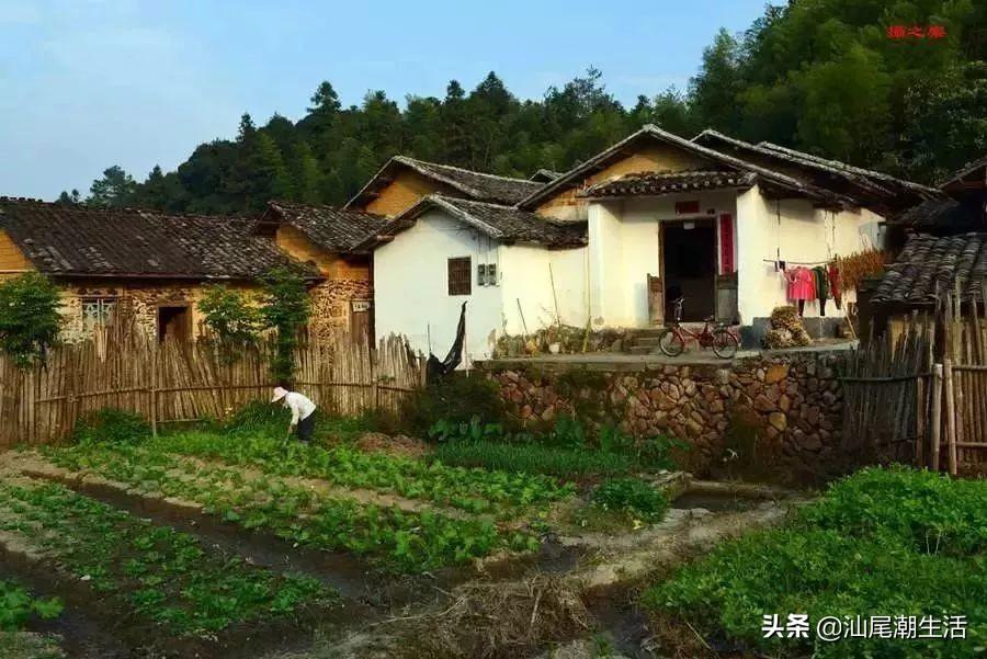 算命的江湖术语-妻亦硬是什么意思啊恋爱