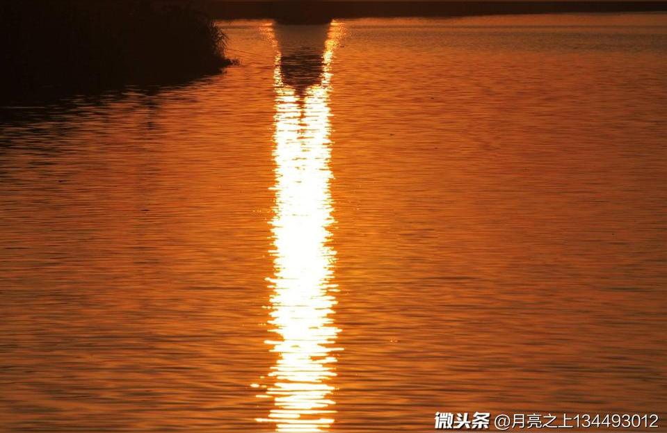 称骨算命润月八月有闰月吗