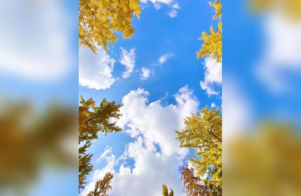 超度咒南京玄奘寺事件