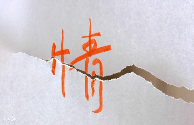 女命子午相冲找什么对象生肖马最怕什么