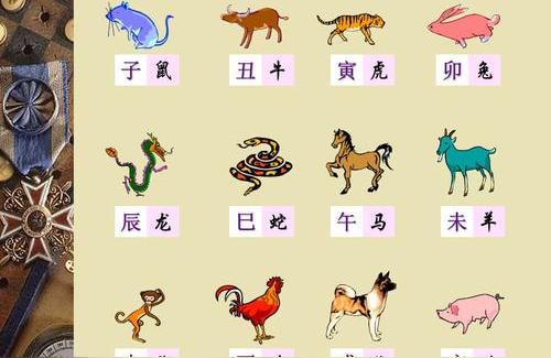 紫薇斗数卯时生人如何用紫薇斗数看生肖运程