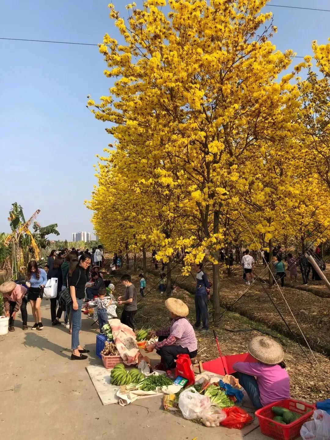木命的人取名带水还是带火 取什么名字有寓意-火归水中水生木是什么意思