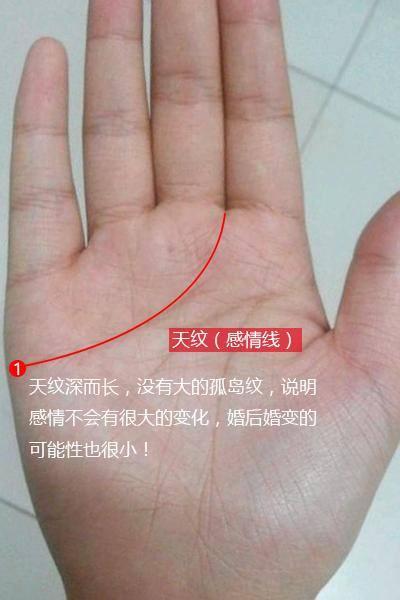 看手相算命图解女人-手相图解