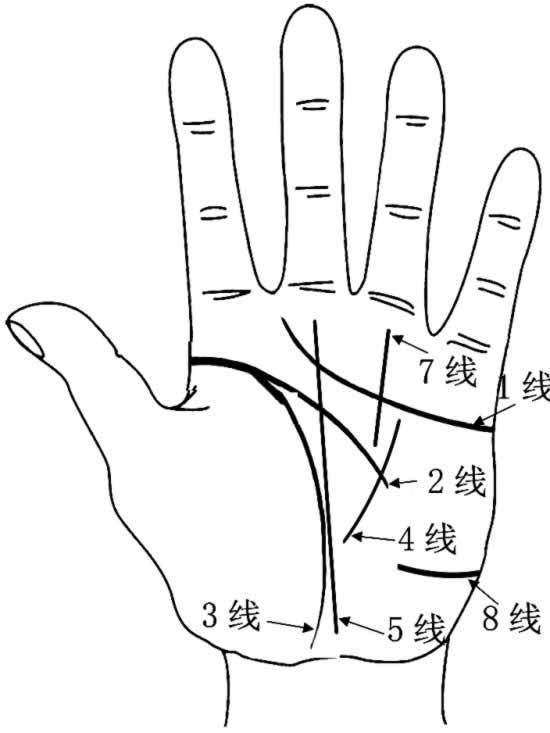 手掌算命图-有人算命用尺子量量手就可以知道你姓什么