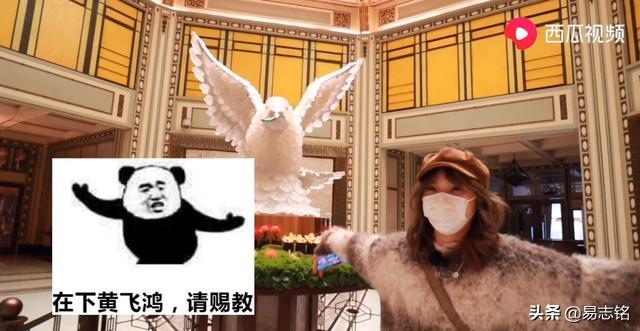 搬办公室第一件进门的东西 吉祥物先进门-车内要放些什么吉祥物