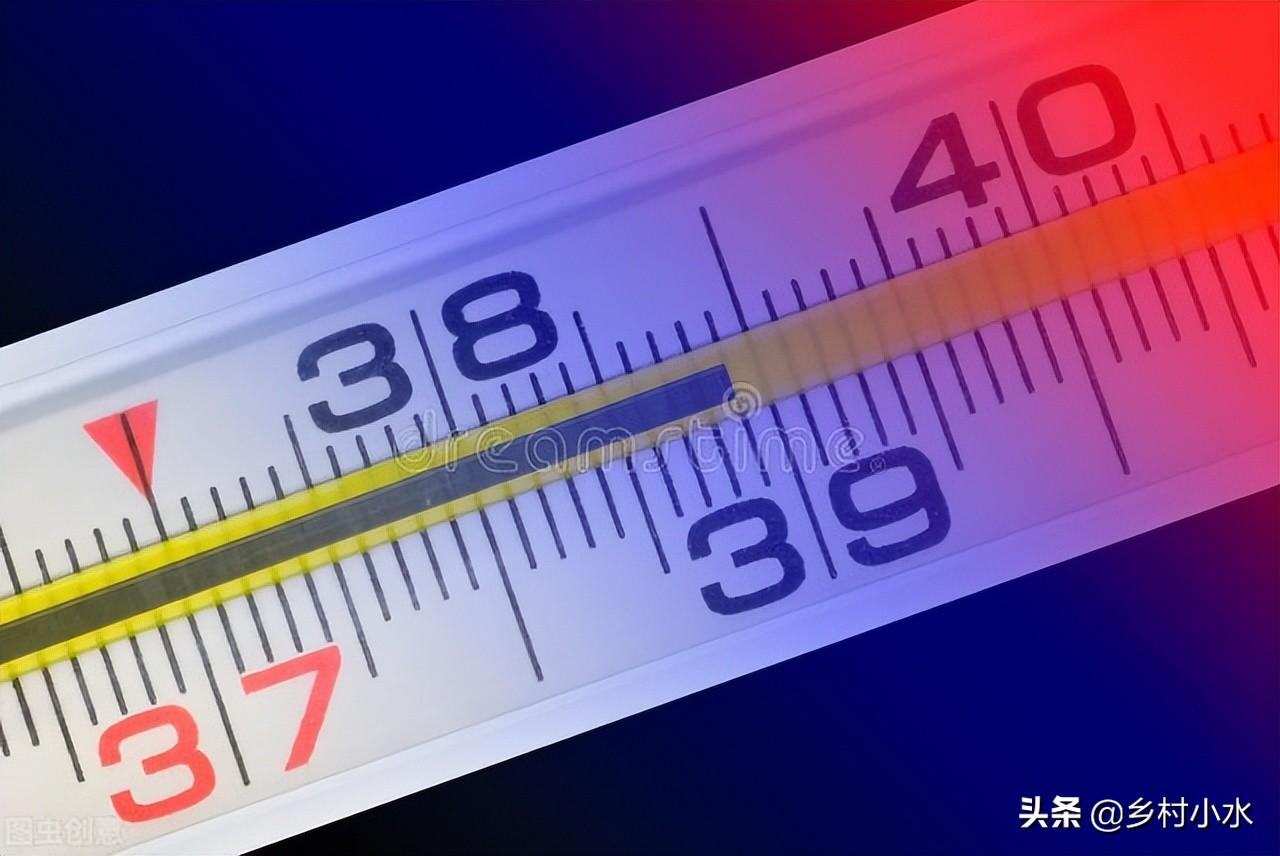 2022年出生的伏姓女宝宝取名 福运起名大全-2022什么时候是初伏