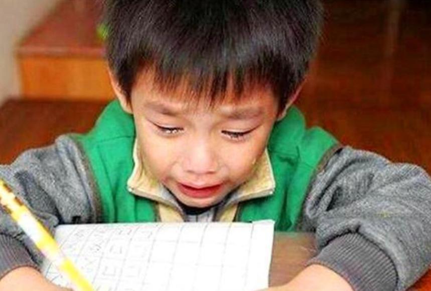好听的马宝宝起名大全-小车叫什么名字好听