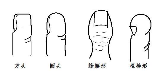 指纹看相算命图解-为何不能作为ip地址资源