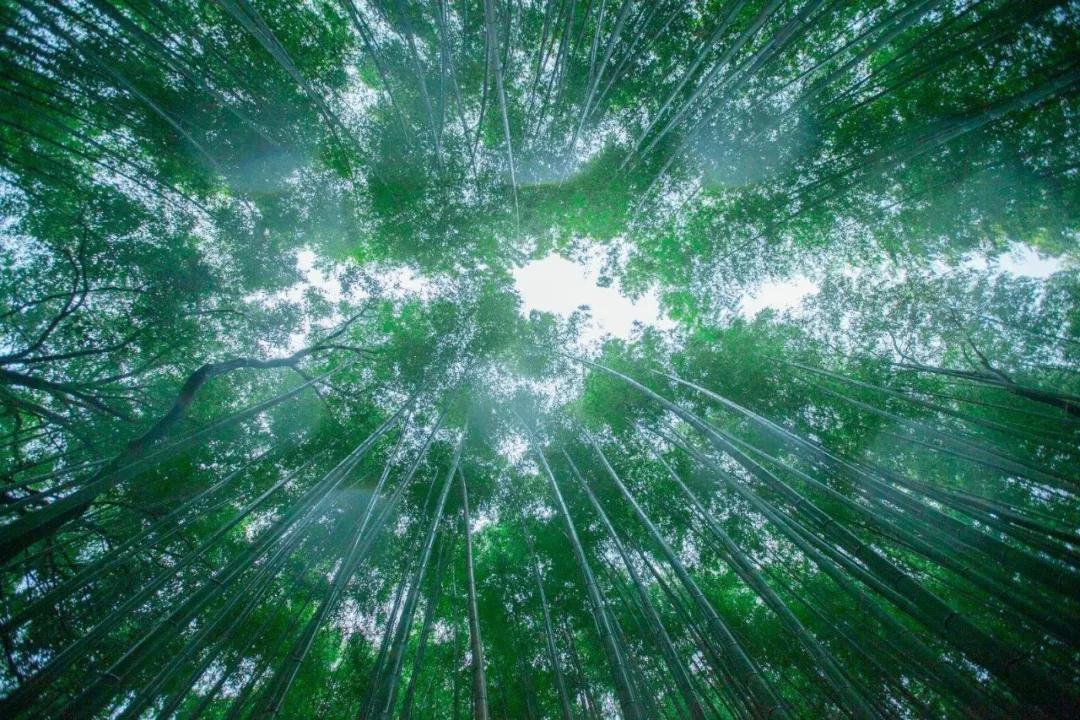 行大运之前的前兆是什么-八字己未戊辰庚申庚辰是什么格