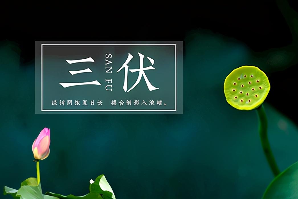 庚日天干-伏的日期是怎么确定的