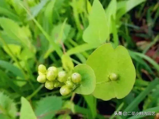 看看你的名字属于什么类型-按辈分怎么起名