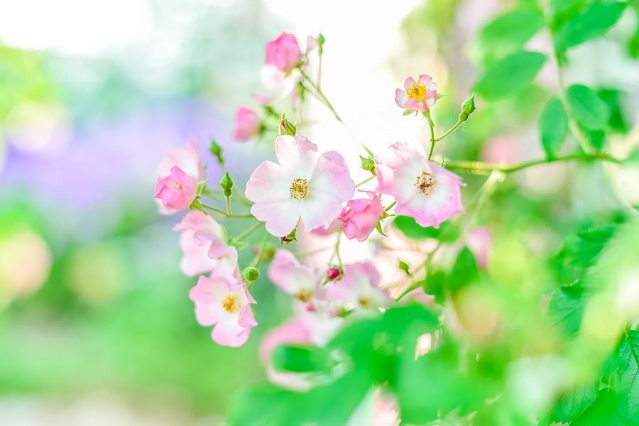 最佳财运方向 2022年12月26日财神方位-新年祝福语2022最火简短