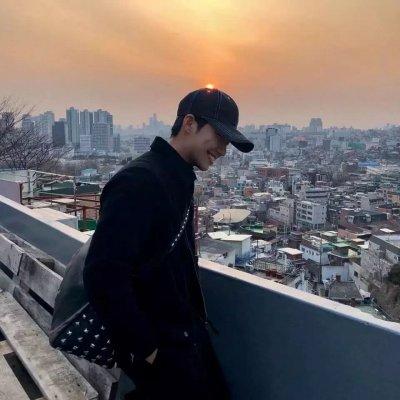 招来财运的微信头像 用什么微信头像招财-发财树可以做头像吗