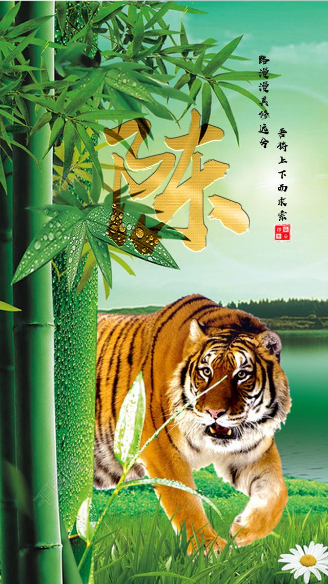 算命婚姻女属虎男属虎-男的属鸡女的属狗