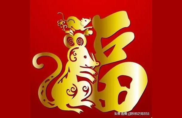寅巳申三刑最厉害属猪的和属虎的配吗