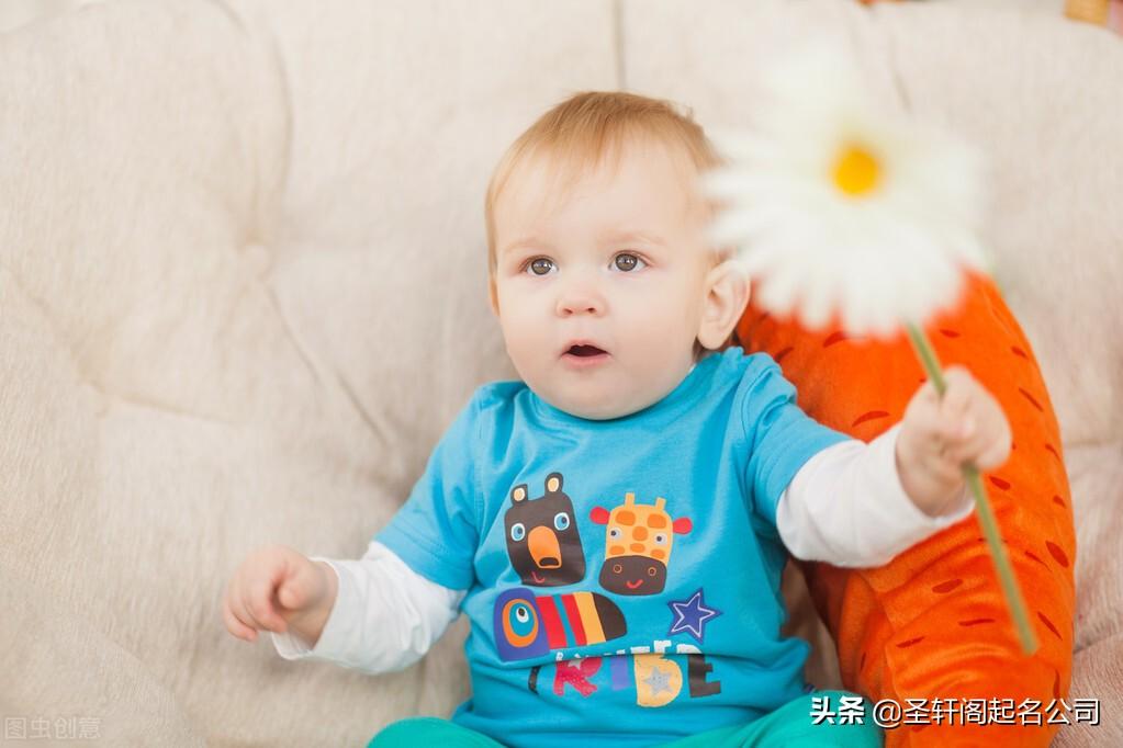 属虎取名字什么字最好 满分取名大全-张姓取名简单大方的