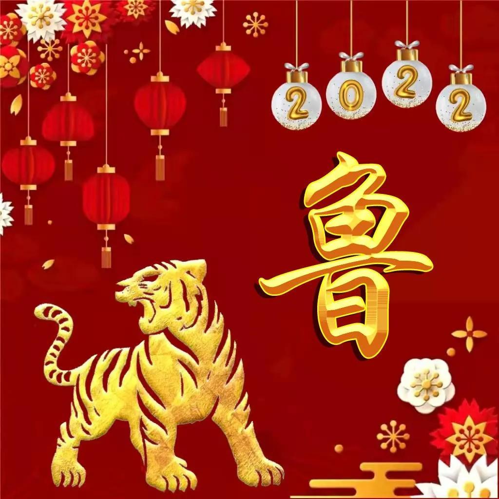 2022虎年出生的鲁姓男宝宝最佳取名推荐 年年有余名字大全-虎年鲁姓龙凤胎取名