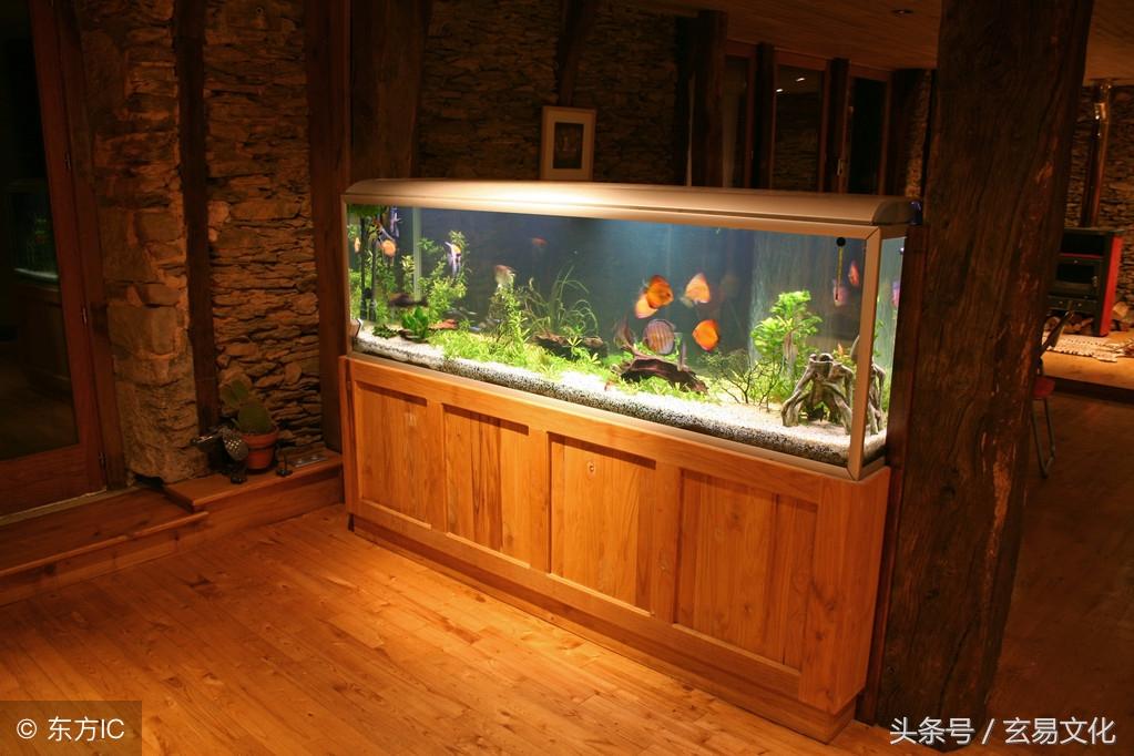 家居风水影响财运的因素有哪些-怎么欣赏风水画