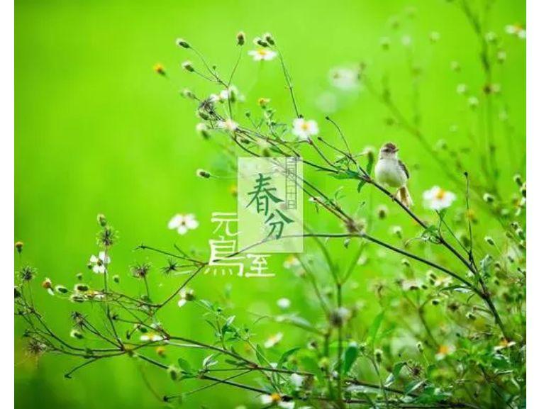 查运势是看太阳星座-12星座性格准吗