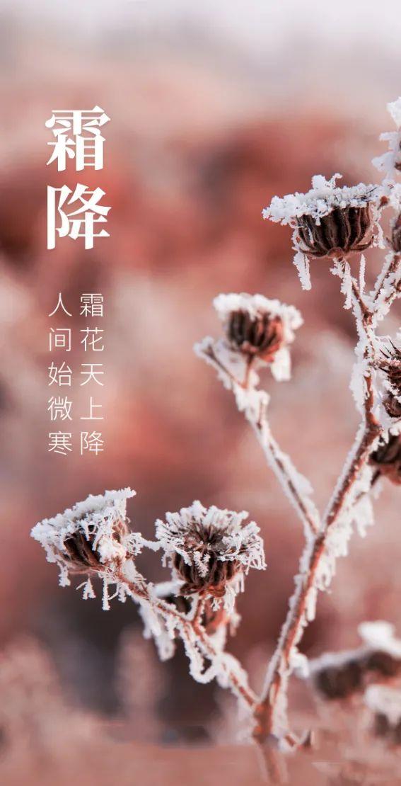 2022年霜降节气财神在哪个方向 今日财神方位-2022年的壬寅秋月指什么时候