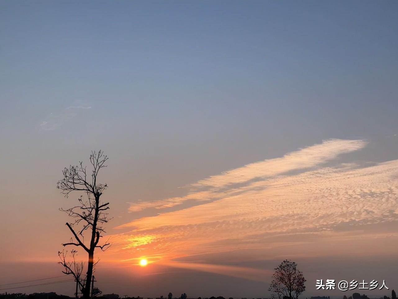 丑土中什么力量最大-牛跟什么生肖配对最好