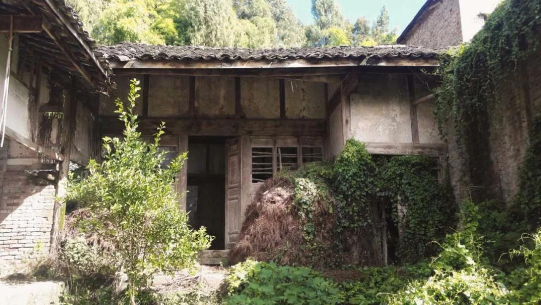 射洪市算命-老先生说宁可女大十不可女大一