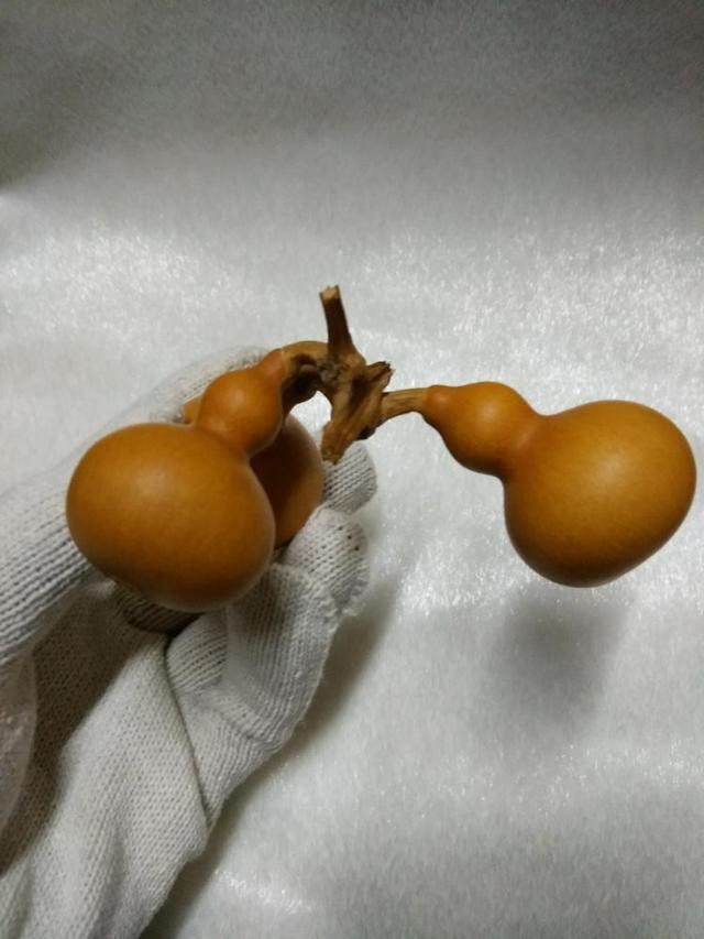 家里的葫芦不小心弄裂了要不要紧-文玩葫芦是怎么去皮的