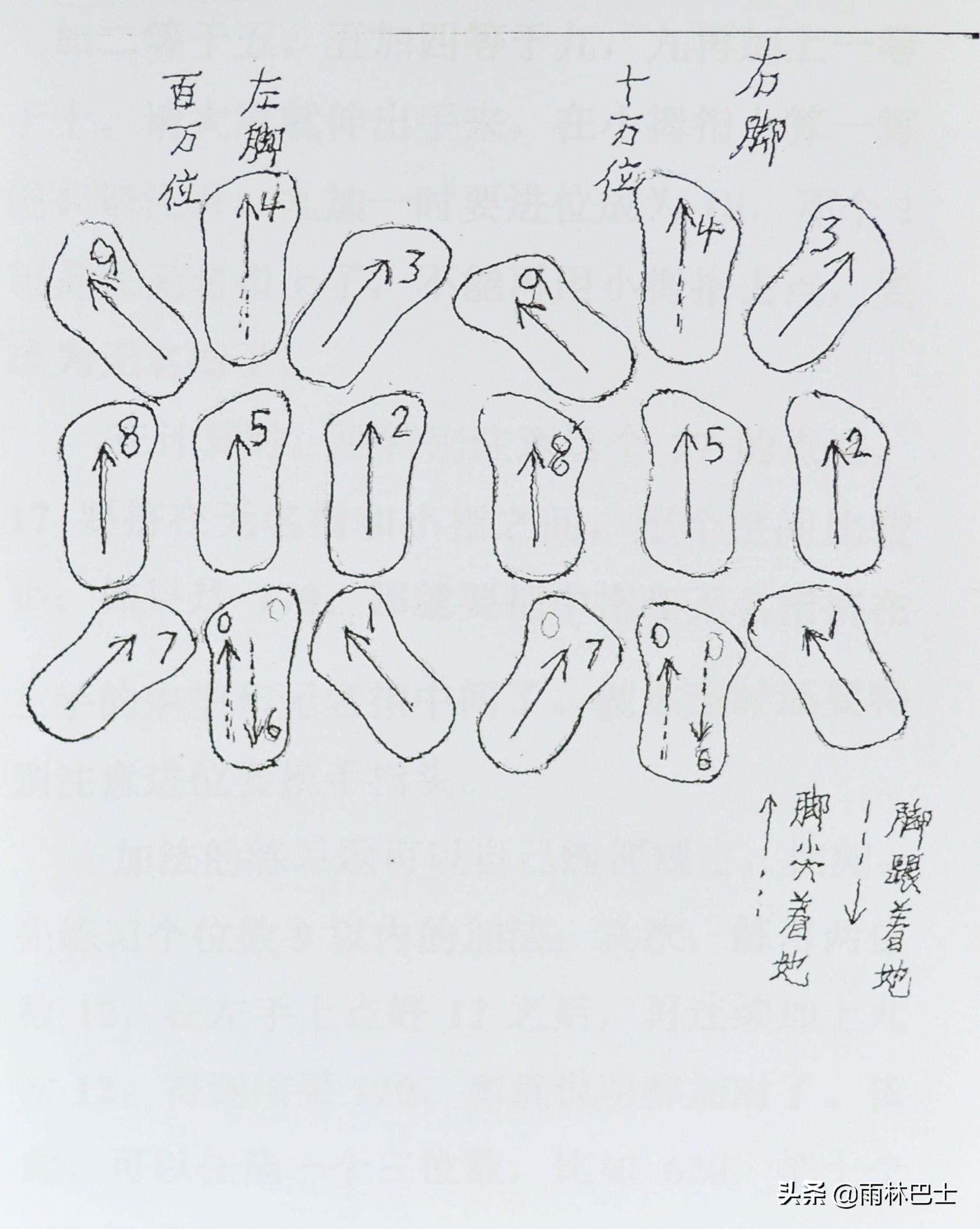 算命一掌金-其他高手的排名是什么样的