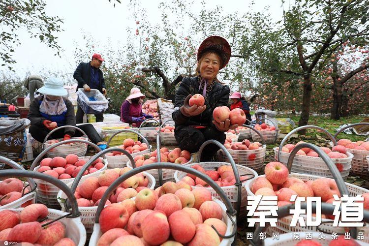 2022年姓秦的女虎宝宝如何起名 有意义的名字大全-能说说你看2022新乡世乒赛张本智和与王楚钦决赛的感受吗