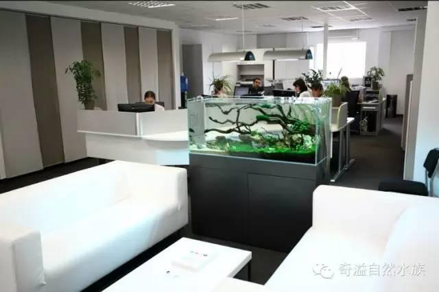 办公方位风水 遵循左高右低-办公室座位左右谁大