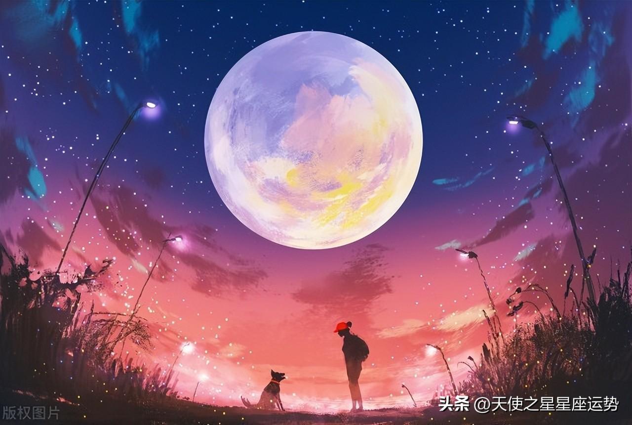 哪里可以看每日星座运势-十二生肖是怎么产生的