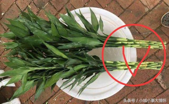 财神位在家的什么方位 不同空间方位不同-家中的观音菩萨和财神放在什么位置好