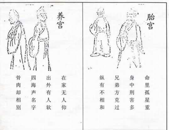 夫妻宫冲命宫互为夫妻宫啥意思