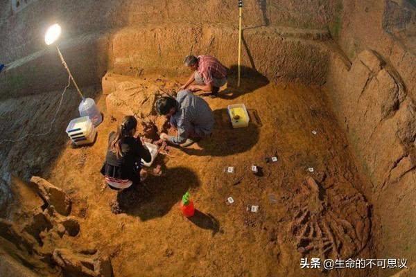 爷爷奶奶的坟影响谁 更旺第几个孙子-你觉得孙子亲