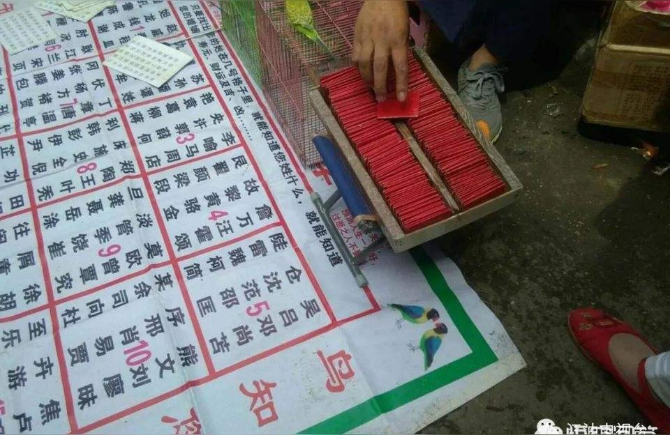 算命抽签7-算命抽签的那个器皿叫什么