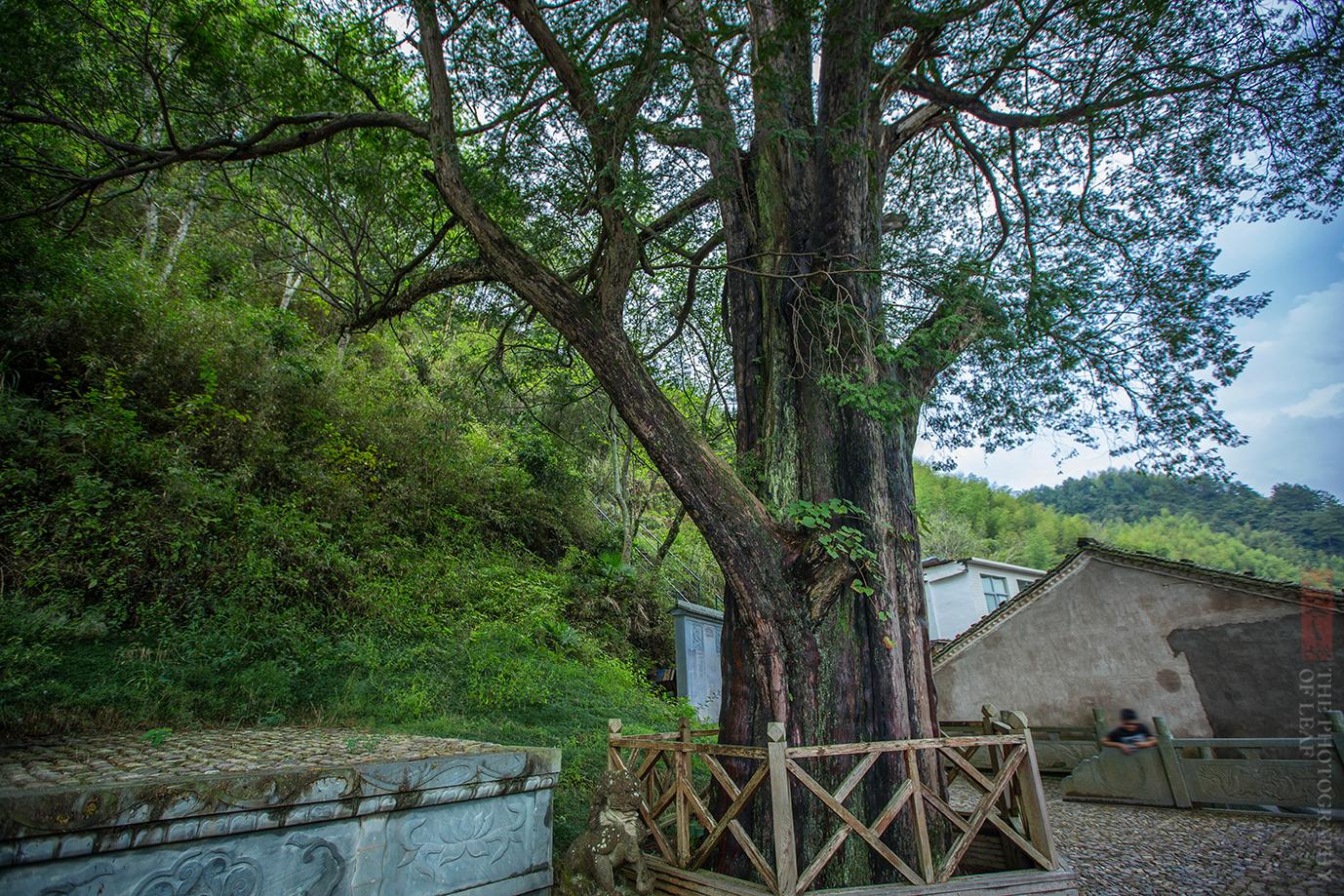 坐南朝北的房子禁忌有哪些-俗话说厨房三不向