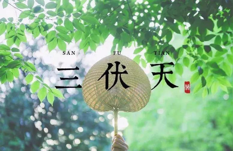 2022年头伏安徽2022年入伏时间及气温