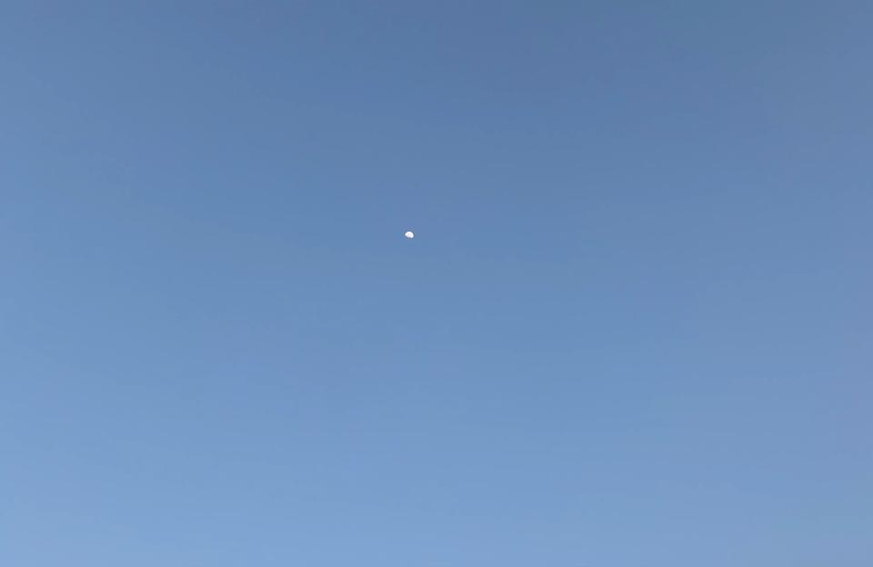 天使之王的星座运势-有讽刺人性的句子可以分享吗