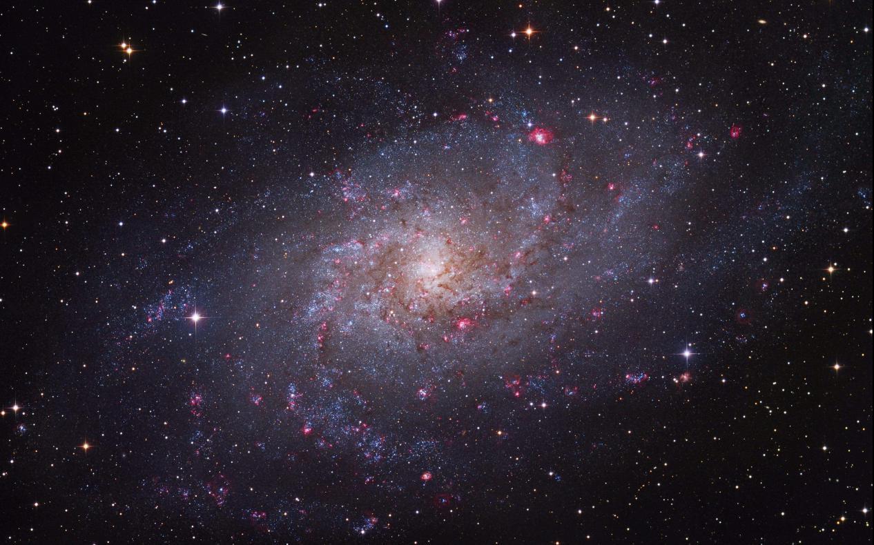 近期星座运势狮子巨蟹女-98年12月份属虎是什么星座