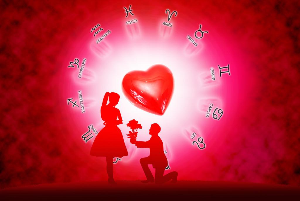 算命学名词-动婚是什么意思