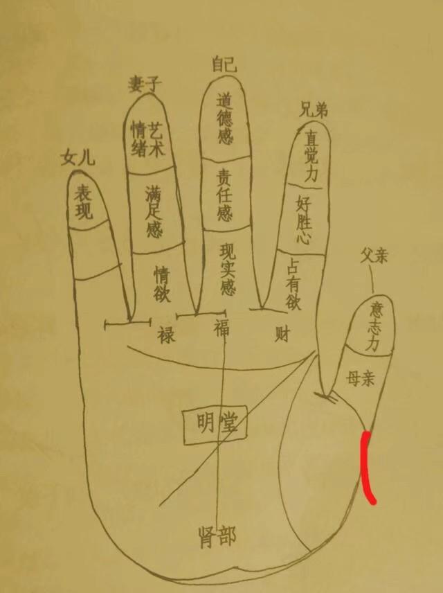 手相算命占卜-如何理解传统文化中的